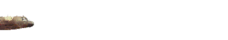 Animated ABCCC Graphic